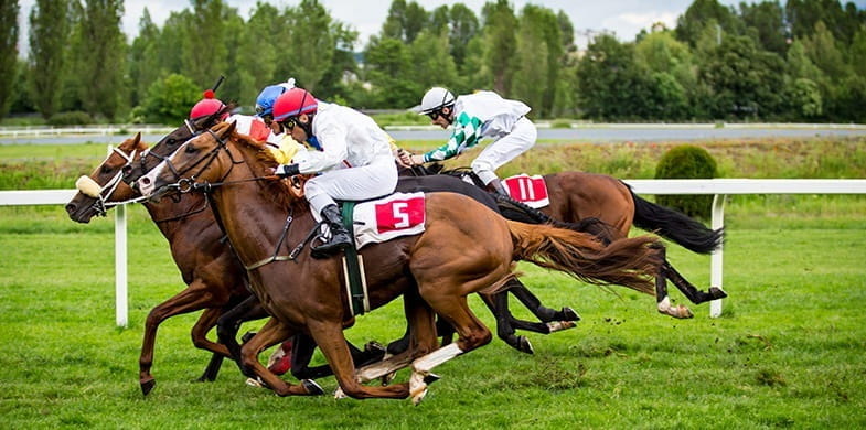 Campeonatos de carreras de caballos y el mundo de las apuestas